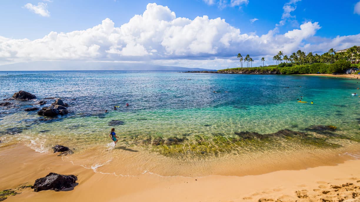 Kapalua Bay Morning
