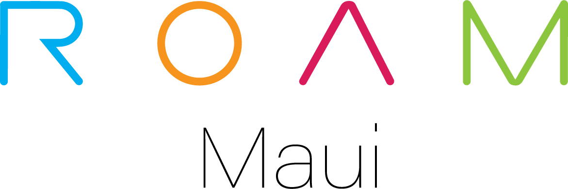 ROAM logo
