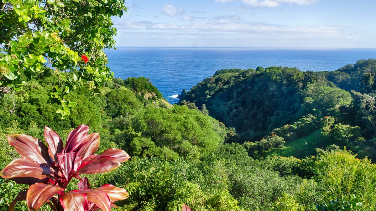 Safe haven - Maui luxury real estate