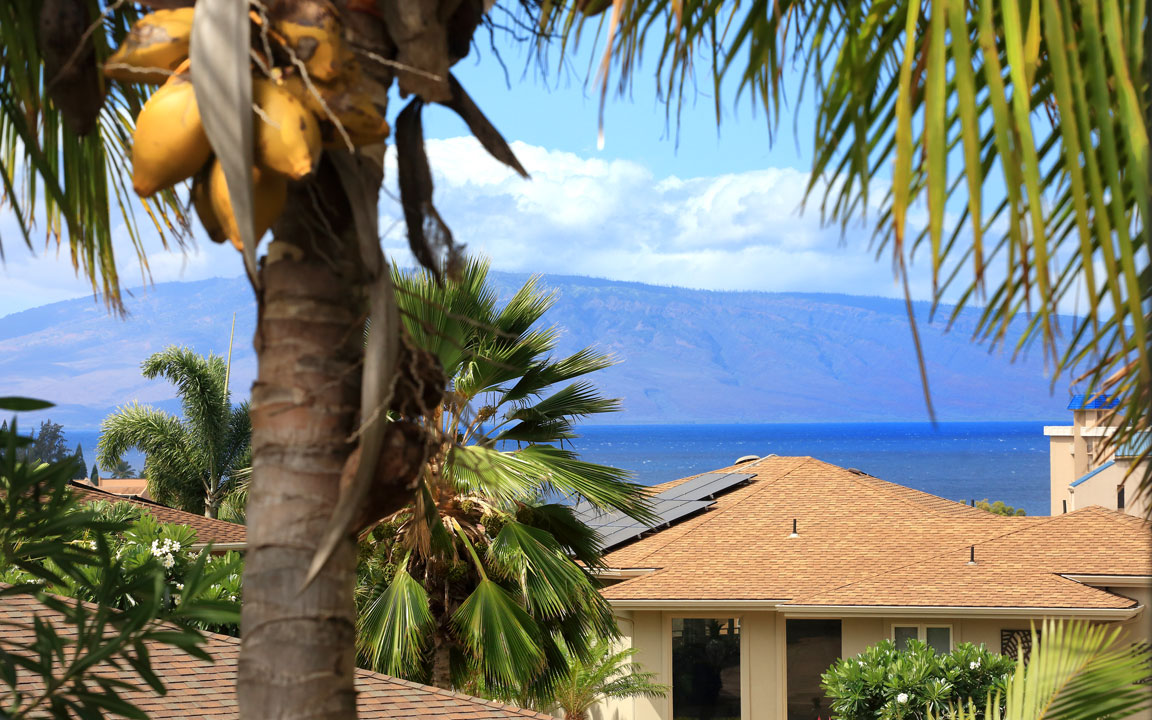 View of ocean and rooftops through palm trees from a West Maui lanai