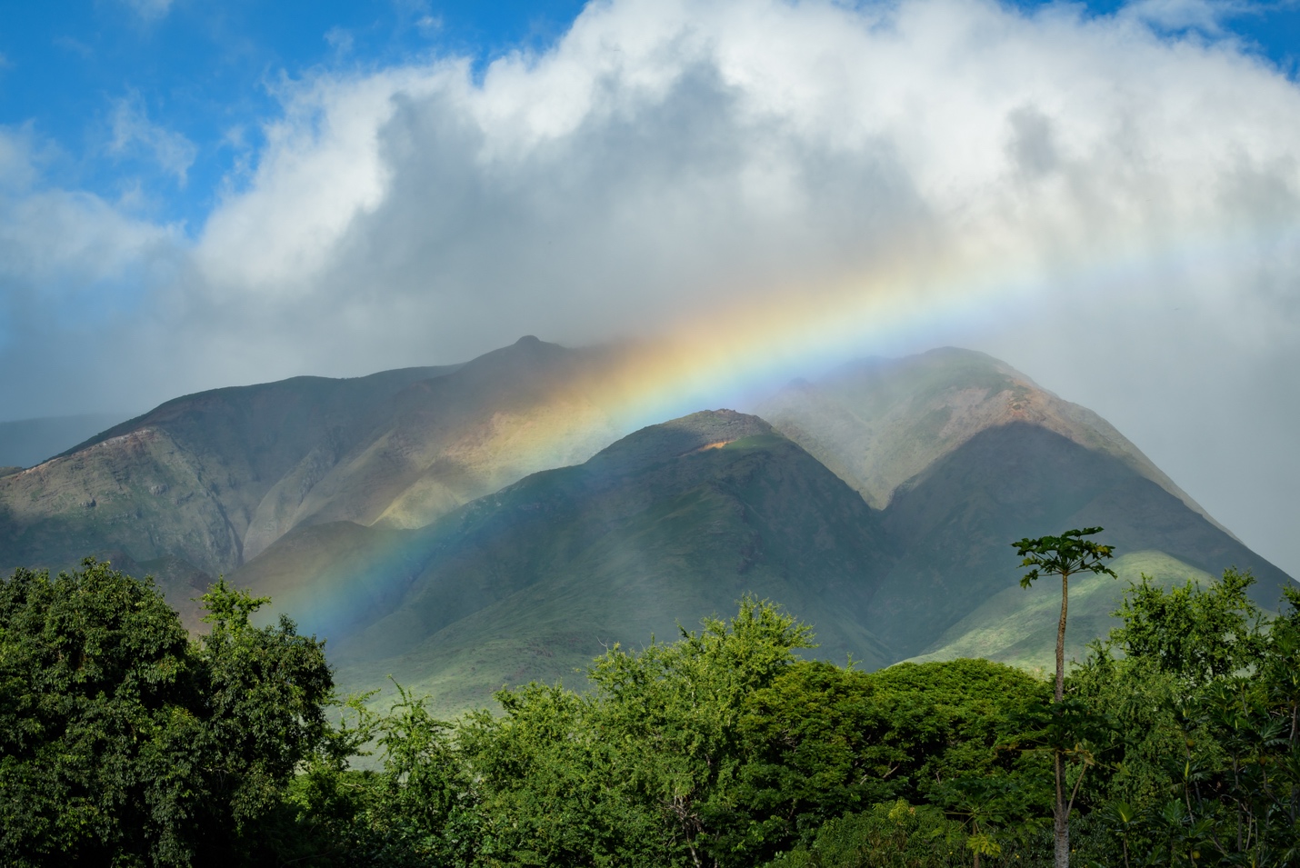 West Maui Rainbow